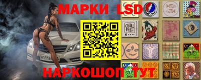 СК Донской