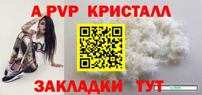 СК Донской