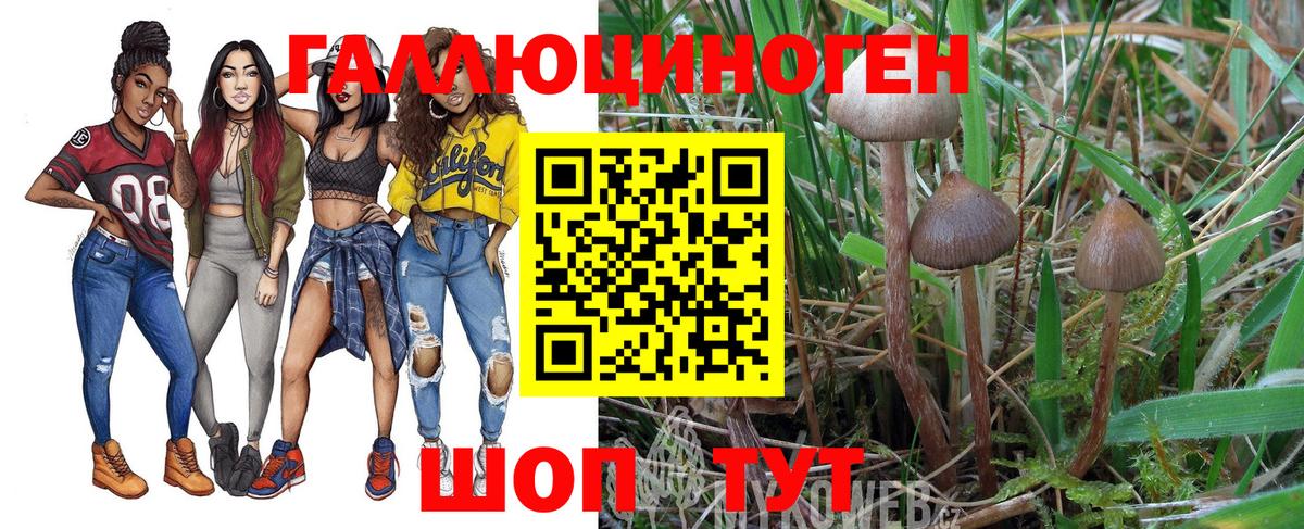 Псилоцибиновые грибы Psilocybe  хочу наркоту  Галлюциногенные грибы мицелий  Вологда  Вход с VPN 