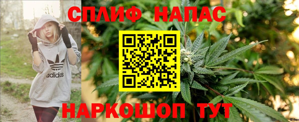 Конопля ГИДРОПОН  Конопля планчик  Конопля MAZAR  Вход с VPN  Вологда 
